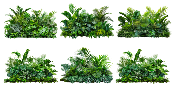 Six different arrangements of tropical plants, including palm trees, ferns, and leafy greens, are displayed against a white background