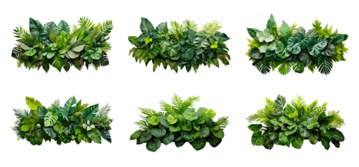 Six lush green tropical plant arrangements on a white backdrop display a variety of textures and leaf shapes, perfect for a natural, inviting vibe