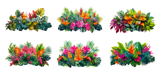 Six different tropical floral arrangements with various green leaves, pink, red, orange, and yellow flowers