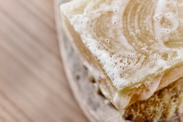 Soap bar and bristle brush