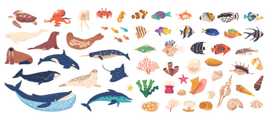 Vibrant Collection Of Illustrations Featuring Various Sea Creatures, Coral, Marine Flora. Whales, Dolphins, Fish, Seals