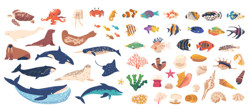 Vibrant Collection Of Illustrations Featuring Various Sea Creatures, Coral, Marine Flora. Whales, Dolphins, Fish, Seals
