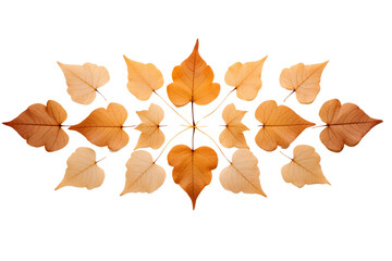 Autumnal dry orange leaves arranged in a symmetrical pattern,Isolated on white background