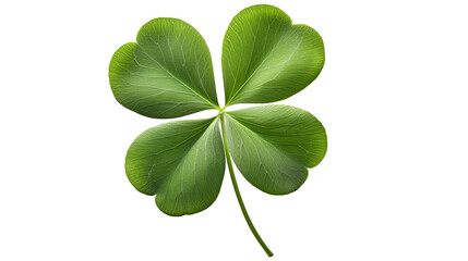Four Leaf Clover Shamrock Isolated, Transparent Background PNG