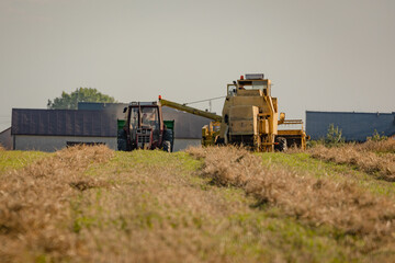 Fototapeta premium Great combine harvester working at the field. Agricultural machine on the blue sky. Combine harvester harvests ripe wheat. Concept of a rich harvest. Agriculture image.
