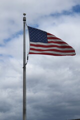 Spring in United States of America