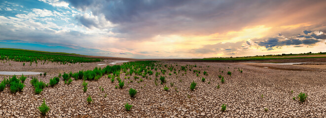 Coastal scene with dried cracked sand dunes and coastal plants. Climate change and drought land, Rainstorms are falling on the dry ground, Global warming concept