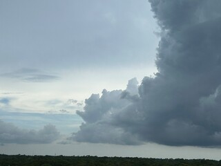 clouds over the forest