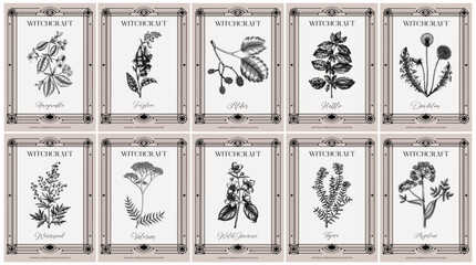 Art Deco witchraft labels set. Healing herbs, mystical plant sketches. Vintage frame design templates. NOT AI generated © sketched-graphics