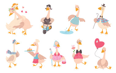 Cartoon geese. Cute goose driving motorbike and hugging, walking baking and touch water. Trending childish mascots, funny birds nowaday vector clipart © MicroOne