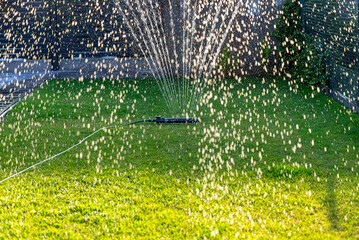 Grass swing sprinkler watering the lawn in the backyard of a house.