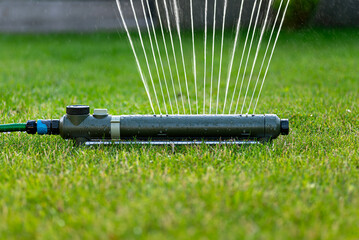 Grass swing sprinkler watering the lawn in the backyard of a house.
