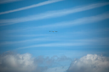 The Majestic Skyline Two Birds Gracefully Soaring through a CloudFilled Blue Sky