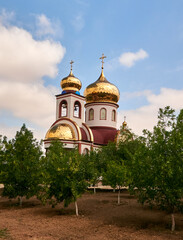 Orthodox church stands in the countryside