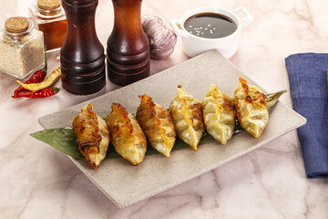 Fried Japanese stuffed dumplings - Gyoza