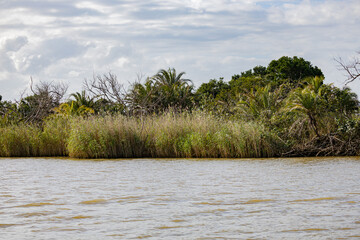 St. Lucia Estuary, South Africa