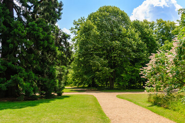 path in the park