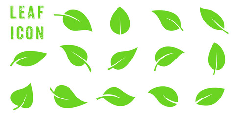 Green leaf icon. Green leaf set. Vector illustration.