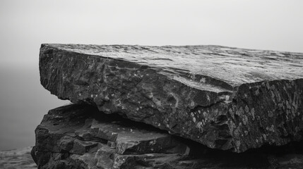The Podium's Silent Authority: Black and White Photo
