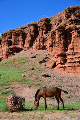 Narman Fairy Chimneys, located in Erzurum, Turkey, is one of the important tourist centers of the...