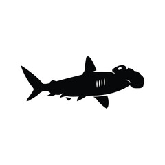 Hammer shark logo icon vector