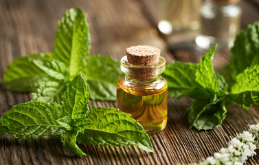 A bottle of aromatherapy essential oil with fresh peppermint leaves
