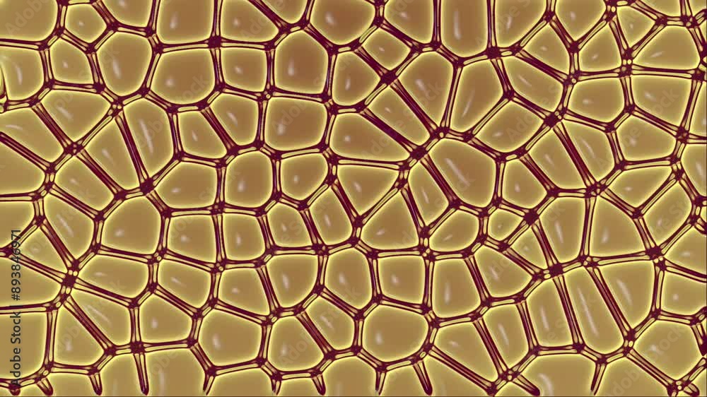 Poster 3d rendering loop animation of a complex network of interconnected nerve cells