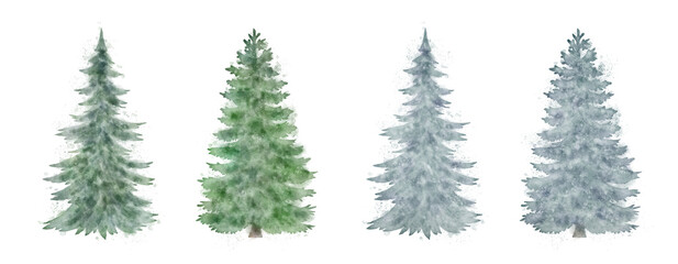 Watercolor winter trees isolated with transparency