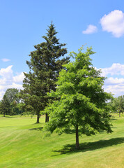 Summer landscape Bromont eastern township Quebec province Canada