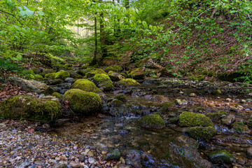 Fototapeta premium Leisurely hike in early summer at Rottachsee in the Allgau