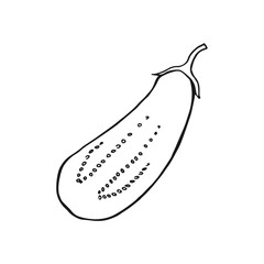 Half of eggplant. Hand drawn vector illustration.
