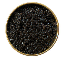 Black caviar in an open tin can isolated on white background. Top view. Gourmet seafood delicacy.
