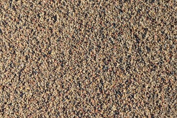 The background is fine gravel. Gravel texture. Small gravel texture.