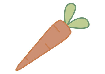 Zanahoria naranja con dos hojas 