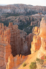 The cliffs of Bryce Canyon national Park glowing in the morning light.