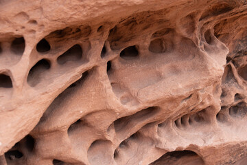 Highly wind eroded rock with an alien plant like appearance.
