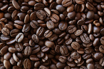 Close-up of roasted Arabica coffee beans