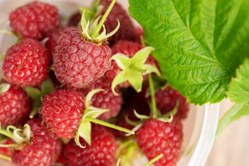 raspberries close-up. Ripe juicy raspberry harvest. Berry background.