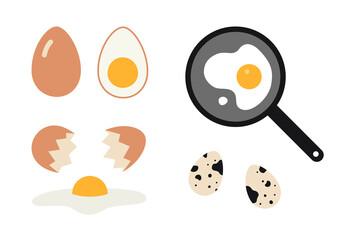 Different types of eggs, raw and boiled, chicken and quail eggs, scrambled eggs in a frying pan. Vector illustration isolated on white background, hand drawn, flat design