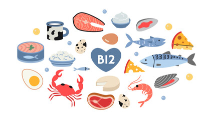 Best sources of vitamin B12 foods. Sea food, fish, meat, dairy products and eggs set. Isolated vector illustration, hand drawn, flat design
