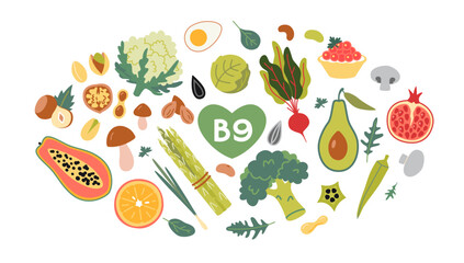 Best sources of vitamin B9 foods. Fruits, vegetables and nuts set. Isolated vector illustration, hand drawn, flat design
