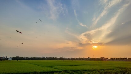 Kites soar high during sunset over verdant rice fields in Vietnam, celebrating Trung Thu, the Mid-Autumn Festival