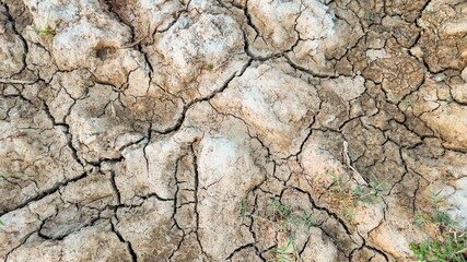 Parched, cracked earth due to severe drought highlighting climate change and environmental challenges