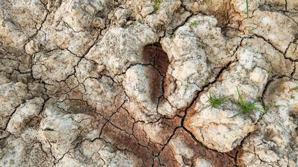 Top view of cracked, dry earth highlighting the impact of drought and climate change on soil health and agriculture