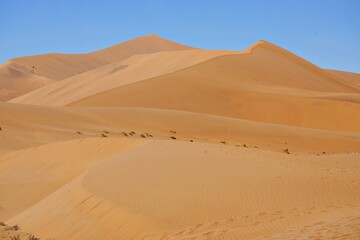 Namib Wüste und Sossusvlei