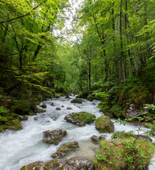 Obraz premium Stunning forests, rivers and waterfalls along the Malerweg hiking trail in Hallstatt, Salzkammergut, Upper Austria