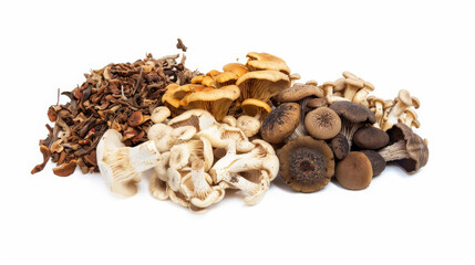 Fototapeta premium A diverse collection of mushrooms is artfully displayed against a clean, white background, illustrating various shapes, sizes, and earthy tones.