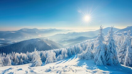 Obraz premium Snowcovered trees stand tall against a backdrop of mountain peaks and a bright blue sky