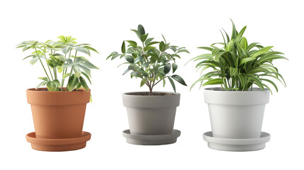 Fototapeta premium Collection Of Mixed Plant Pots Black White And Grey For Indoor Gardens And Brochures isolated on transparent background. Generative ai