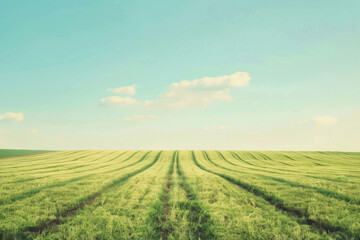 Lines of verdant crops extend towards a serene horizon, framed by a pastel sky, embodying the promise and beauty of agricultural landscapes.